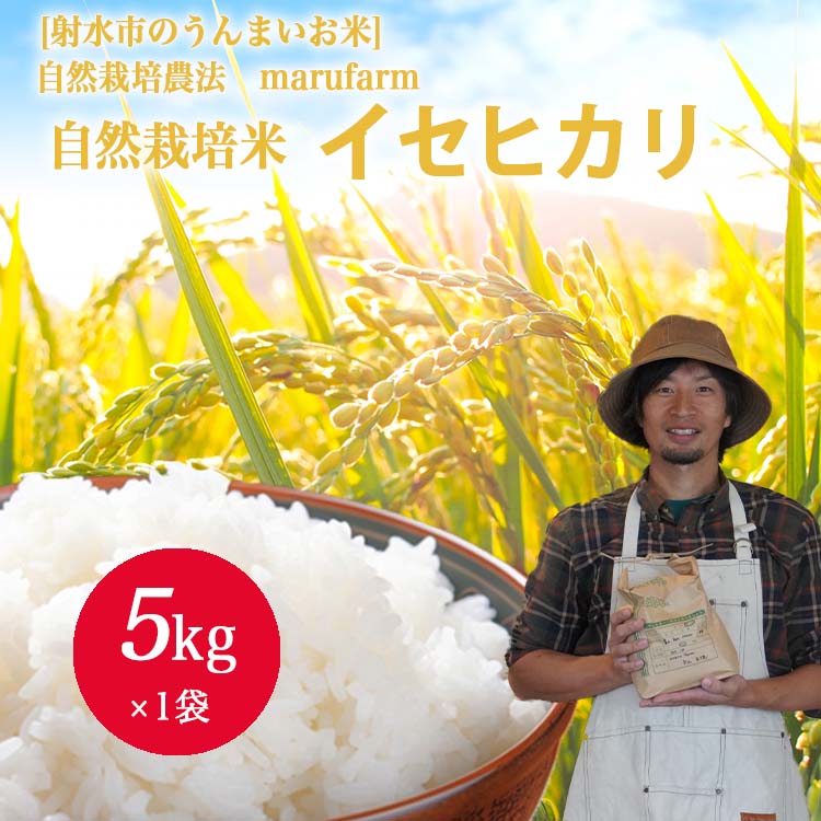 【ふるさと納税】【射水の美味しいお米】【自然栽培農法】自然栽培農家 marufarm 自然栽培米「イセヒカリ」5kg ※2026年10月～発送｜富山県射水市 17,885円