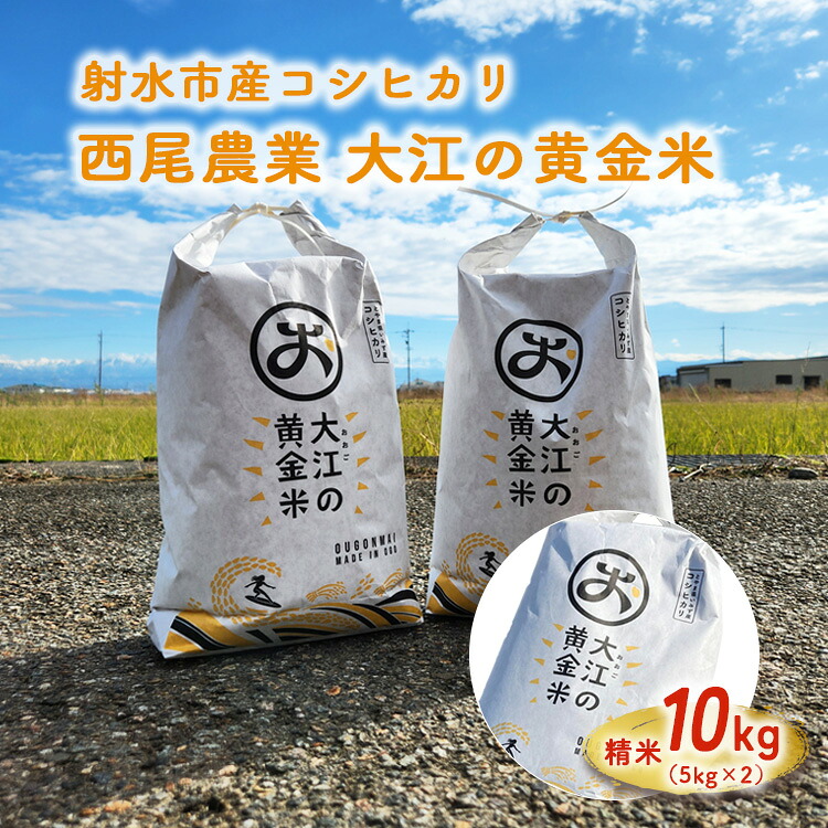 【ふるさと納税】R7年度米 大江の黄金米 コシヒカリ10kg（5kg&times;2） ｜ 射水市 西尾農業 黄金米 射水の美味しいお米 精米 ※離島への配送不可｜富山県射水市