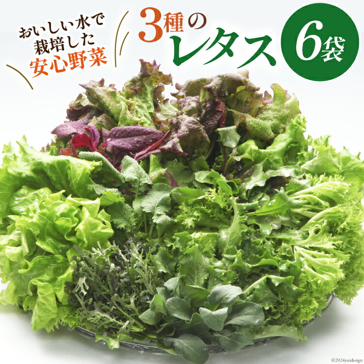 【ふるさと納税】 富山のおいしい水で生産した安心野菜（6袋） / 北陸機材 / 富山県 舟橋村 [57050100] 野菜 野菜セット フラワーリーフ フリルレタス マルチレタス 水耕栽培