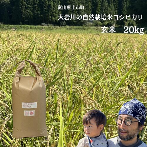 【ふるさと納税】米 大岩川の自然栽培米コシヒカリ 玄米 20kg [有吉自然農場 富山県 上市町 32280209-r6] お米 コメ ご飯 ごはん こしひかり 自然栽培米 富山県産｜富山県上市町