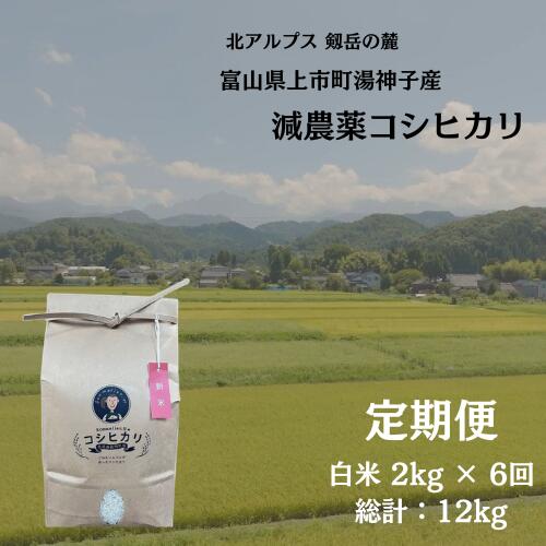 【ふるさと納税】【毎月1回お届け】【定期便】【令和7年産】減農薬 上市町湯神子産コシヒカリ（白米）2kg x 6回 計12kg　 [ソムリエH 富山県 上市町 32280252-r6-01】 米 ６ヶ月 6回定期便 定期購入 お米 コメ ご飯 ごはん 白米ご飯 白米ごはん こしひかり 富山県産｜富山県上市町