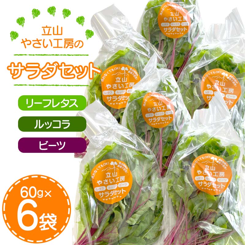 【ふるさと納税】立山やさい工房のサラダセット 60g×6袋 農薬不使用 水耕栽培 新鮮 野菜 サラダ 小分け リーフレタス ルッコラ ビーツ セット 冷蔵 国産 食品 立山やさい工房  F6T-088