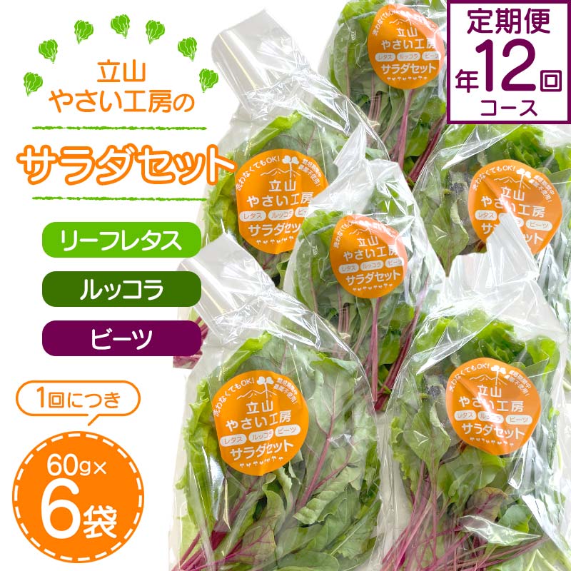 【ふるさと納税】＜定期便＞立山やさい工房のサラダセット 定期便年12回コース 各60g×6袋 ＜全12回＞ 定期便 12ヶ月連続 農薬不使用 新鮮 野菜 サラダ 小分け リーフレタス ルッコラ ビーツ セット 冷蔵 国産 食品 立山やさい工房  F6T-252