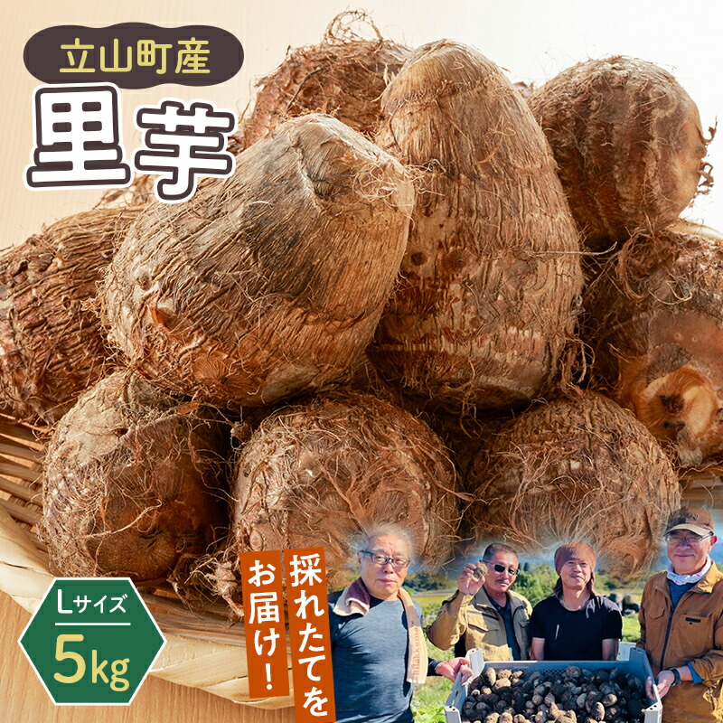 【ふるさと納税】【2025年予約】立山町産里芋 Ｌサイズ 5kg さといも 里いも 芋 いも 野菜 根菜 立山町 F6T-726