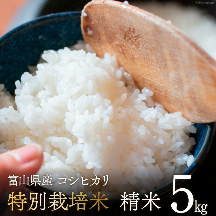 米 令和4年 特別栽培米 コシヒカリ 5kg いただきます 富山県 朝日町 34310010 即納最大半額