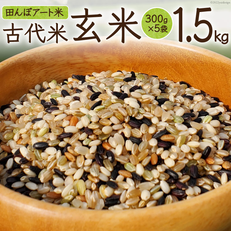 【ふるさと納税】【期間限定発送】 米 田んぼアート 玄米 300g×5袋 [チュリストやまざき 富山県 朝日町 34310430] お米 古代米 コシヒカリ こしひかり 農家 直送