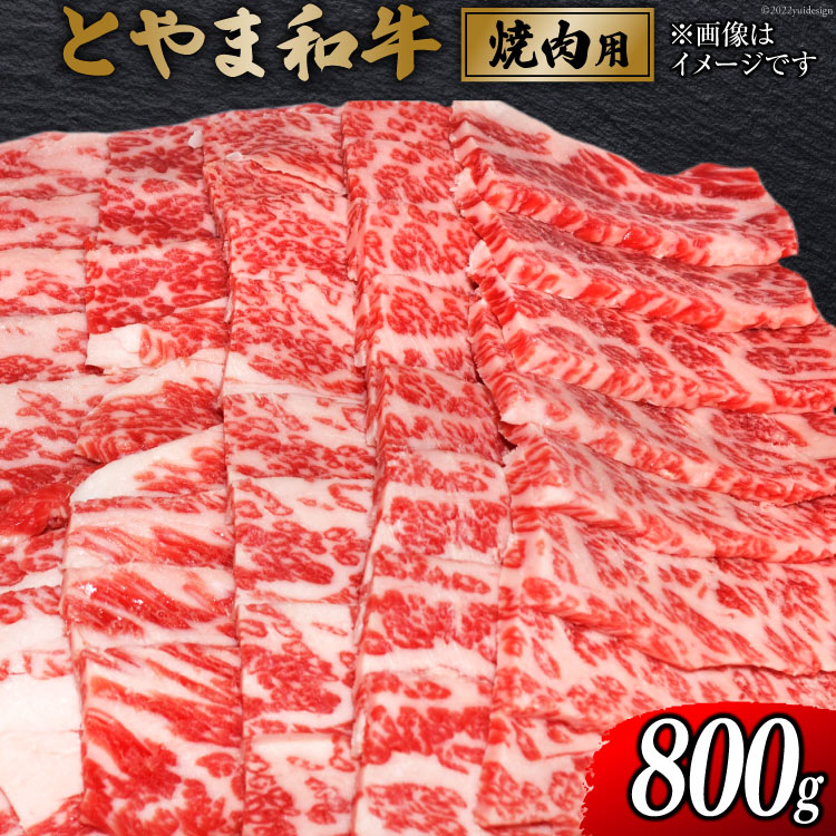 【ふるさと納税】 牛肉 とやま和牛 焼肉用 800g [JAみな穂 富山県 朝日町 34310489] 和牛 肉 焼肉 焼き肉 肩ロース A4ランク以上 朝日町産 冷凍｜富山県朝日町