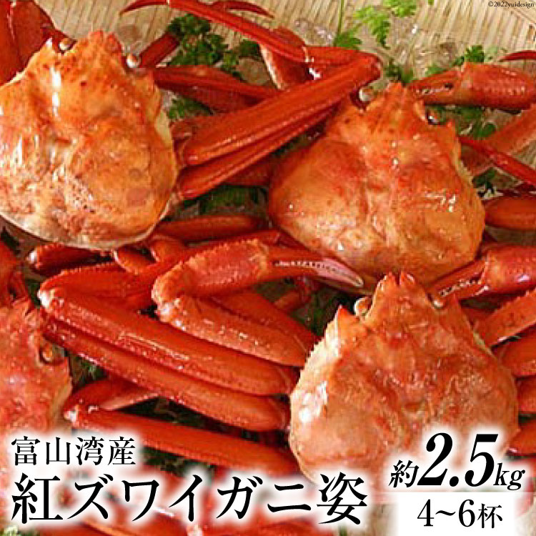 富山湾産 紅 ズワイガニ 姿 約2.5kg 4〜6杯 かに カニ 蟹 寺田鮮魚店 富山県 朝日町 34310230 【SALE／93%OFF】