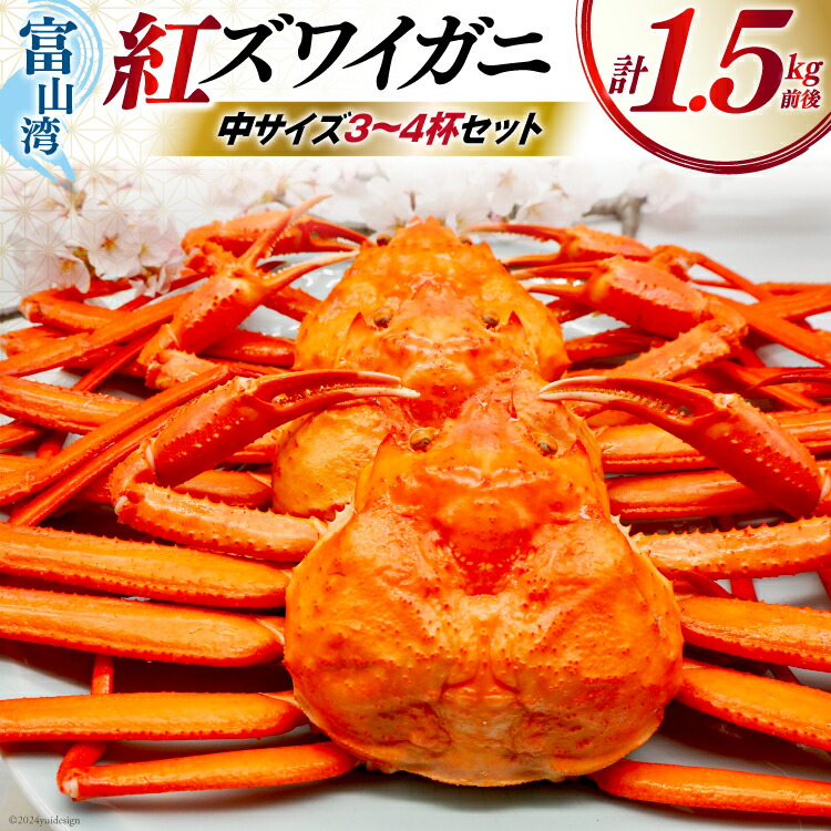 【ふるさと納税】 【期間限定発送】 【漁師厳選】 紅ズワイガニ ボイル済 中サイズ3～4杯 計1.5kg前後 [聖徳丸 富山県 朝日町 34310513] 海鮮 魚介類 カニ ベニズワイガニ 紅ズワイ ベニズワイ 紅ズワイ蟹 ボイル 冷蔵 ご褒美