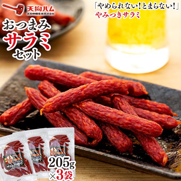 【ふるさと納税】【天狗ハム】おつまみサラミセット | 石川 金沢 加賀百万石 加賀 百万石 北陸 北陸復興 北陸支援 7,200円