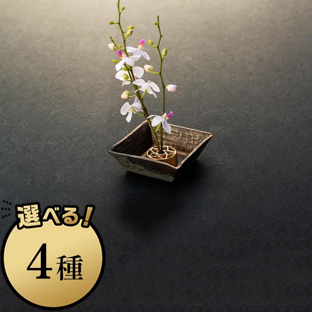 【ふるさと納税】花をみずみずしく長持ち！銅合金製 針のない剣山と金属釉 水盤のセット（Sサイズ） | 石川 金沢 加賀百万石 加賀 百万石 北陸 北陸復興 北陸支援｜石川県金沢市
