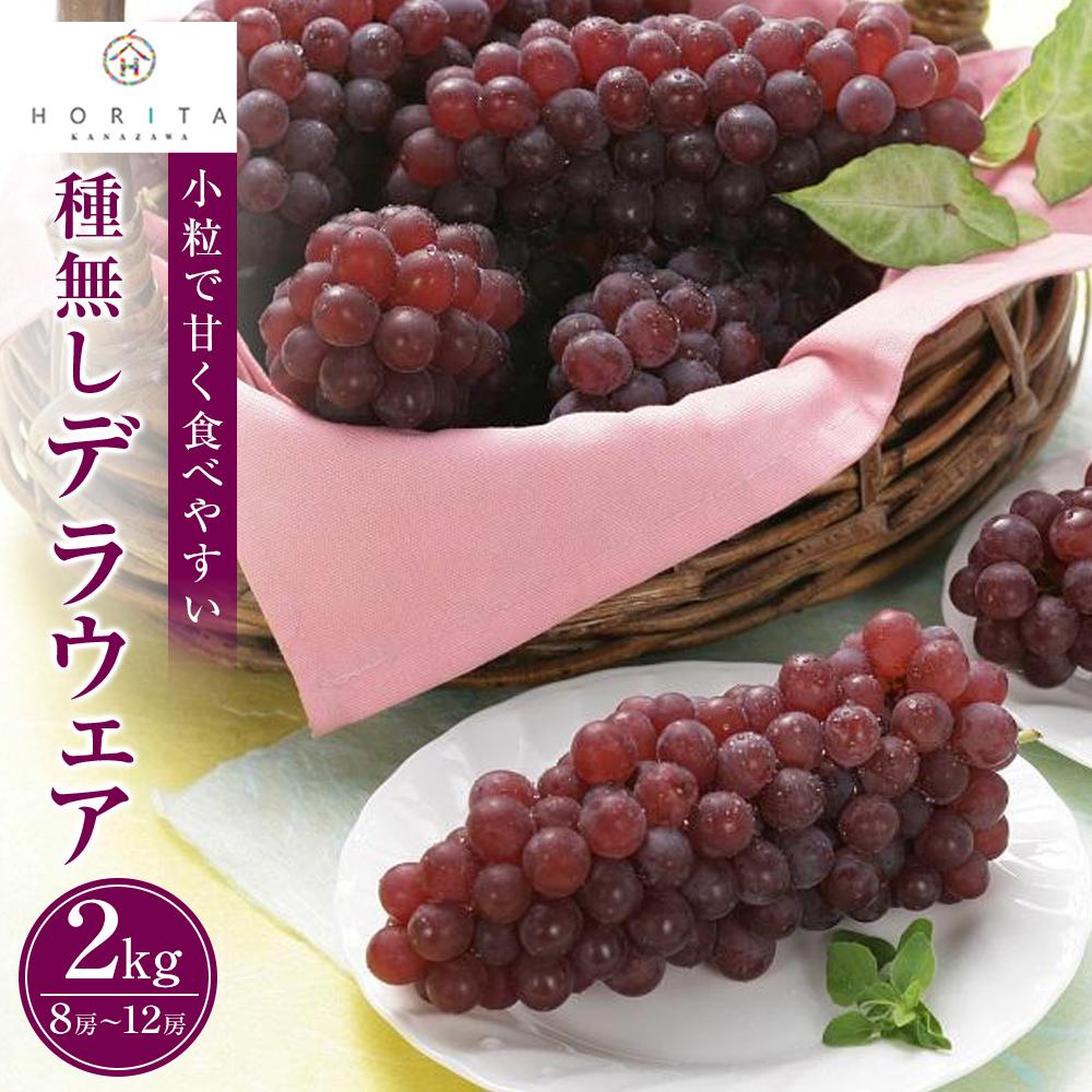 【ふるさと納税】【2025年7月上旬～発送】 【先行予約】 種無しデラウエア 2kg（8～12房） | フルーツ 果物 くだもの 食品 人気 おすすめ 送料無料