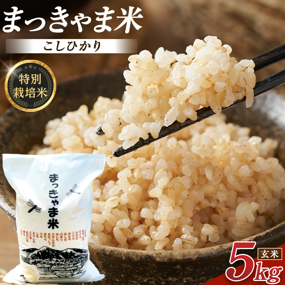 【ふるさと納税】令和7年度産【特別栽培米】 石川県産こしひかり 棚田米【玄米】 5kg まっきゃま米 | ブランド米 自然栽培 食品 健康 お米 おにぎり 美味しい お取り寄せ 通販 人気 おすすめ 送料無料 金沢 加賀百万石 加賀 百万石 北陸 北陸復興 北陸支援|石川県金沢市