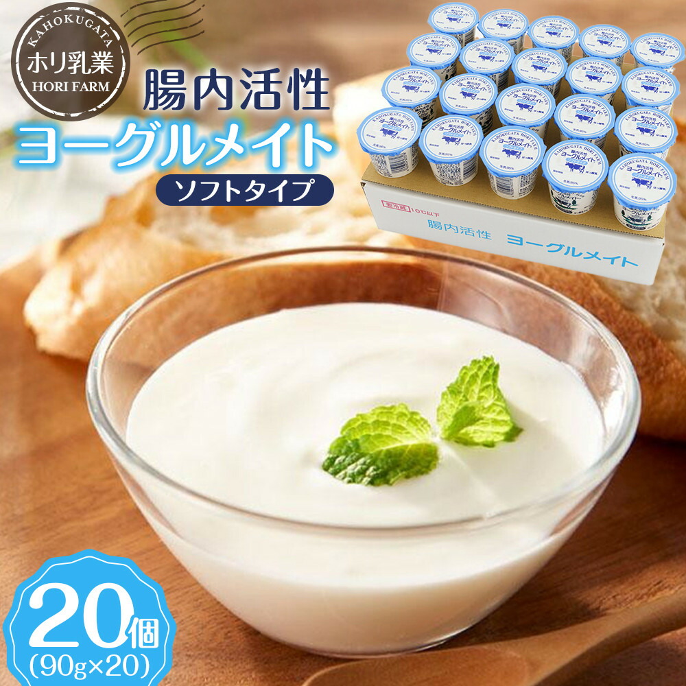 【ふるさと納税】【ホリ乳業】腸内活性 ヨーグルメイト ソフトタイプ 20個入 | 飲料類 乳飲料 ヨーグルト デザート 腸内活性 プロバイオティクス 乳酸菌 乳製品 腸活 発酵食品 乳飲料ミックス 健康志向 発酵デザート 人気 おすすめ 送料無料｜石川県金沢市