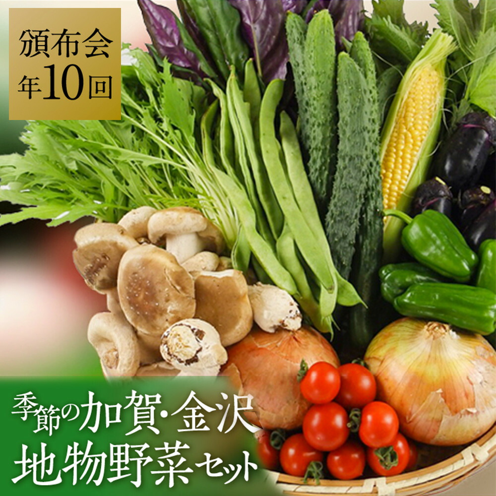 【ふるさと納税】★【全10回】JA金沢市 季節の加賀野菜・金沢地物野菜セット頒布会(毎月1回) | 野菜 やさい 百万石しいたけ 旬の金沢地物 野菜 生野菜 食材 食品 人気 おすすめ 送料無料 産地直送|石川県金沢市