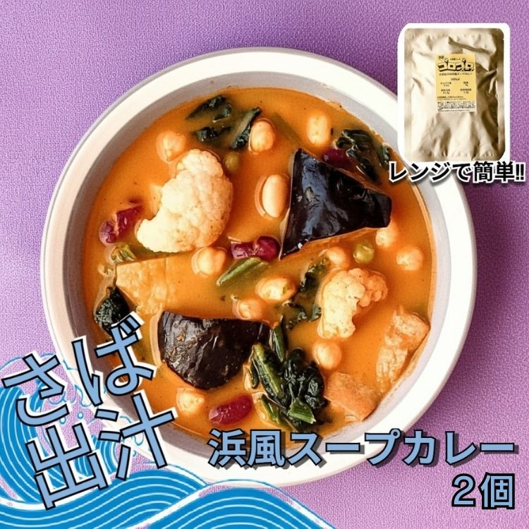 【ふるさと納税】レンジで簡単　さば出汁のスープカレー　野菜たっぷり（2個入）