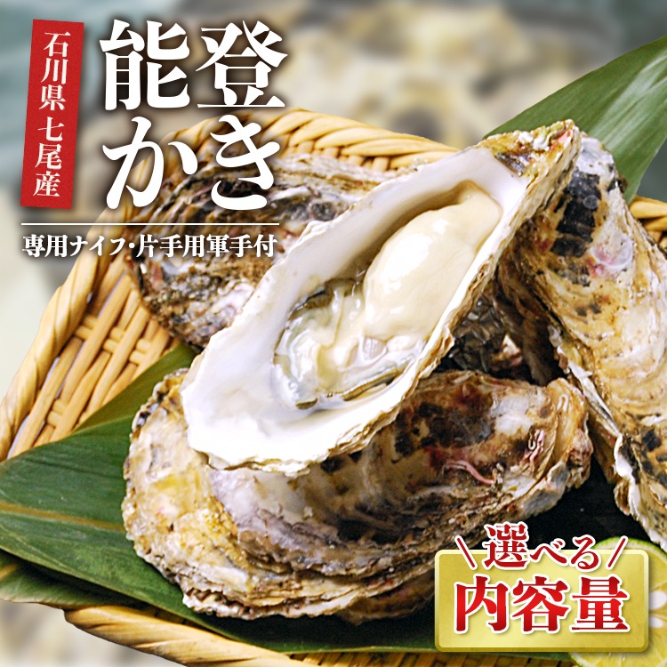 【ふるさと納税】【能登半島地震復興支援】＼選べる内容量／魚介類 牡蠣／能登かき 殻付牡蠣 専用ナイフ 片手用軍手付｜殻付き 加熱用 冷蔵 浜焼き BBQ 訳あり 生活応援価格 ご家庭用 復興支援 石川県 七尾市 能登 世界農業遺産「能登の里山里海」 ※要加熱