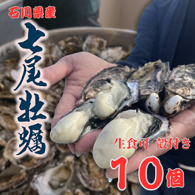 【ふるさと納税】七尾牡蠣10個入り | 生食可 冷蔵 牡蠣 魚介 カキフライ 訳あり 生活応援価格 ご家庭用 石川県 七尾市 能登 ※2026年5月上旬頃より順次発送予定