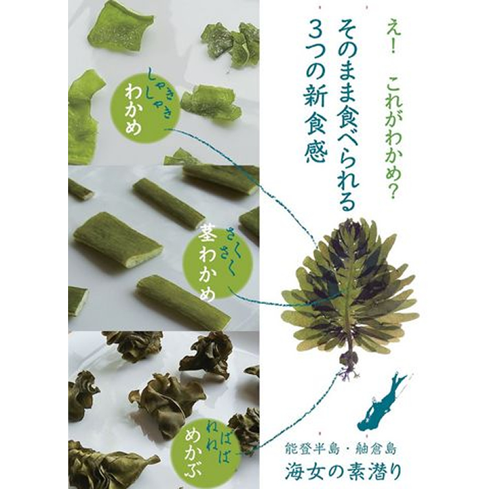 ふるさと納税 贈答 能登の海藻チップスと昆布佃煮 6種 の詰め合わせ 北前船が寄港した七尾の昆布屋がお届けします 海藻類 お菓子 スナック お菓子 贈答 こんぶ 石川県七尾市