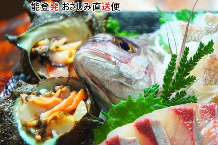能登発おさしみ直送便〜花〜