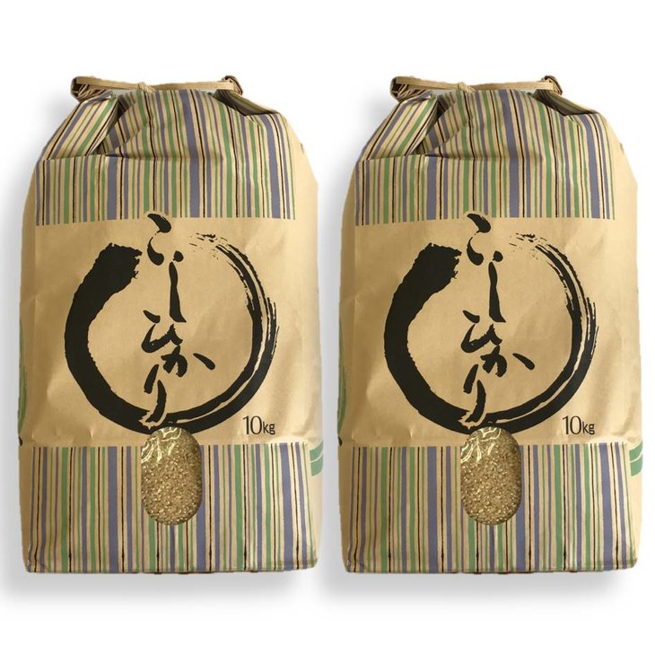【ふるさと納税】【能登半島地震復興支援】米 玄米 20kg/七尾産コシヒカリ　玄米20kg（10Kg×2袋） | お米 ブランド米 銘柄米 訳あり 生活応援価格 ご家庭用 能登 石川県 七尾市