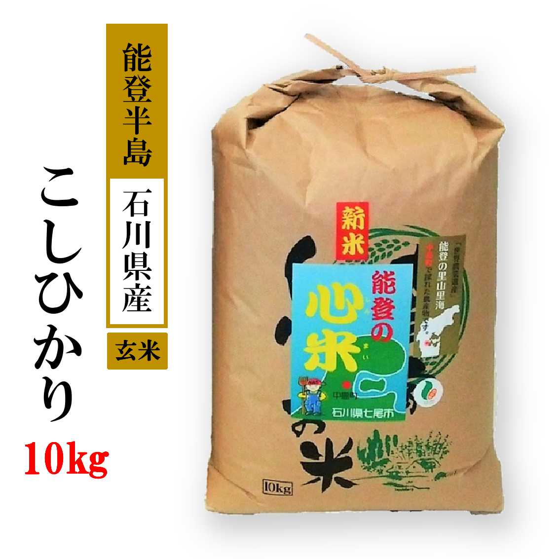 こしひかり 能登の心米　玄米10kg（10kg×1袋）