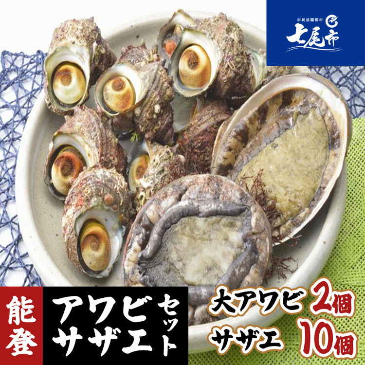 【ふるさと納税】【能登半島地震復興支援】魚介類 /能登　朝どれアワビ・サザエセット（大アワビ2ヶ/サザエ10ヶ） | 海鮮 刺身 つぼ焼き BBQ 浜焼き 貝 詰め合わせ 石川県 七尾市 能登 復興※季節商品