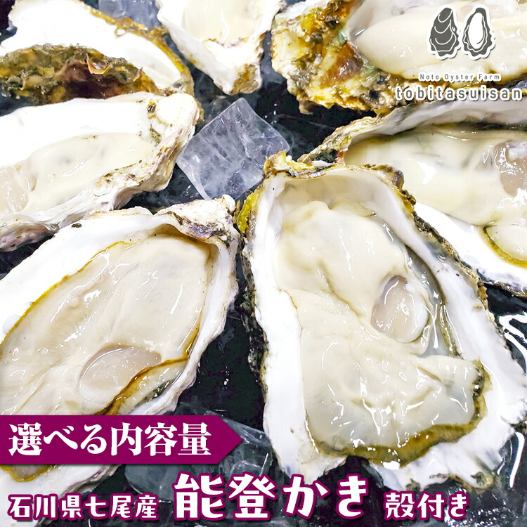【ふるさと納税】＼選べる内容量／ 飛田水産　石川県七尾産　能登かき　殻付き | 牡蠣 魚介 カキフライ 浜焼き BBQ 訳あり 生活応援価格 ご家庭用 専用ナイフ 牡蠣 かき 能登の里山里海 石川県七尾市 能登半島 ※要加熱 ※2026年1月上旬～5月下旬頃に順次発送予定