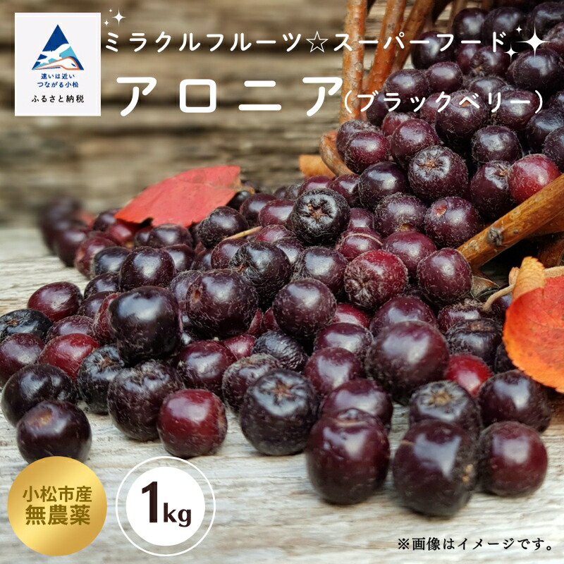 【ふるさと納税】アロニア（ブラックベリー）1kg ベリー 果物 フルーツ ヨーグルト スイーツ おやつ 健康 栄養 スーパーフード お中元 お歳暮 ギフト 小松市 石川県 008051【JA小松市】