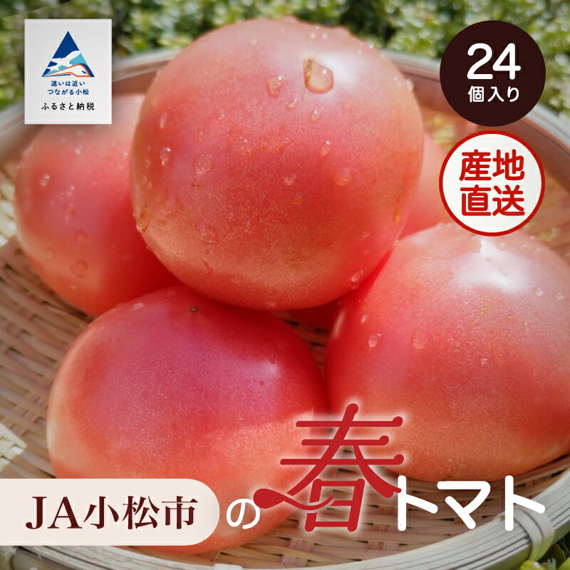 【ふるさと納税】 JA小松市の春トマト ( 24個 ) 小松産 野菜 石川県 010010【JA小松市】