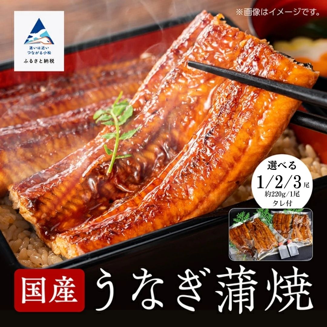 【ふるさと納税】 国産 うなぎ 蒲焼 選べる 1尾 / 2尾 / 3尾 鰻 かば焼き タレつき 関西風 日本産 父の日 母の日 ギフト プレゼント 小松市 石川県【竹本商店】 018040