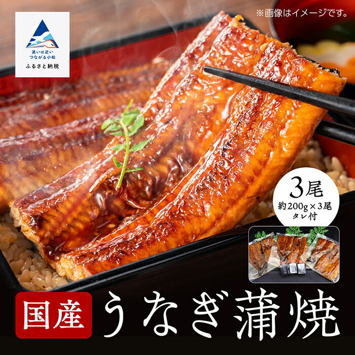 【ふるさと納税】 国産うなぎ蒲焼3尾 うなぎ 国産 蒲焼き 土用 丑の日 おかず ごはんのお供 グルメ お取り寄せ お中元 お歳暮 ギフト 小松市 石川県 030009【竹本商店】