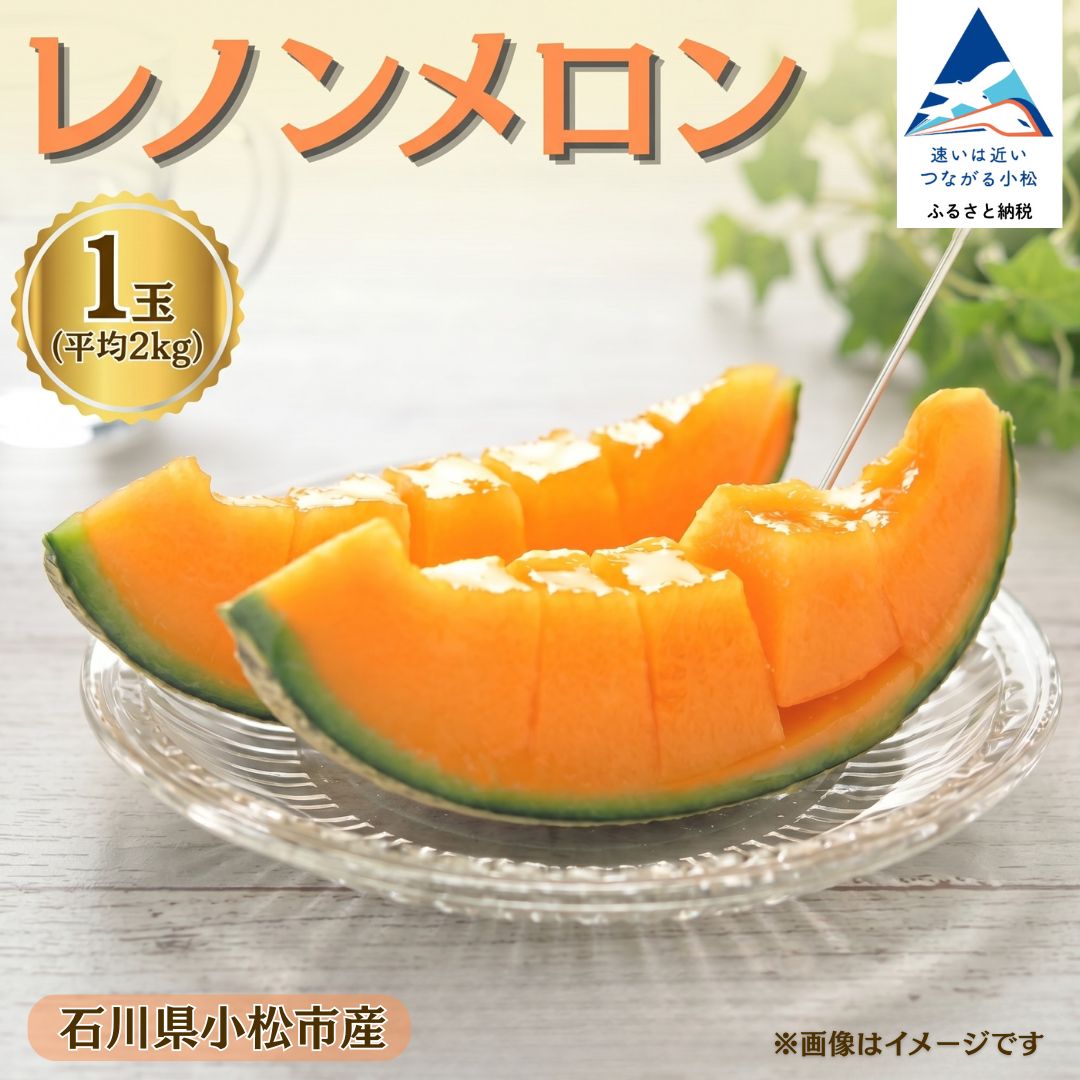 【ふるさと納税】 レノンメロン 1玉(平均2kg) メロン 果物 フルーツ ギフト 贈答用 名産 特産品 石川県 小松市 012138 【JAあぐり】|石川県小松市