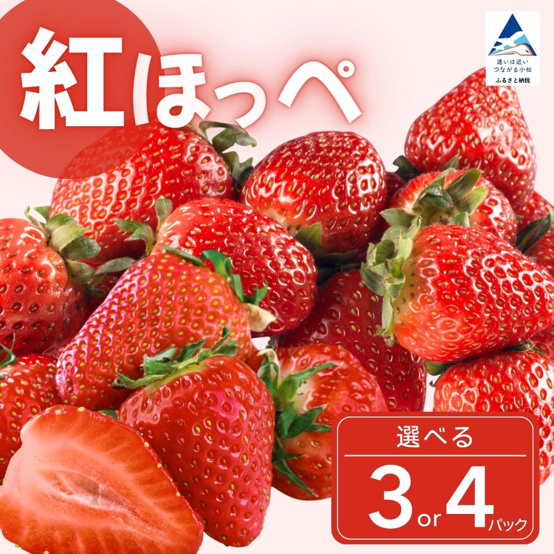 【ふるさと納税】 こまつイチゴ ( 紅ほっぺ )【 選べる 】 3パック（約750g） または 4パック（約1kg）いちご 苺 イチゴ フルーツ 甘い 小松産 シェア おすそわけ グルメ 人気 ランキング おすすめ ギフト 父の日 母の日 プレゼント 石川県 小松市 008072【JAあぐり】