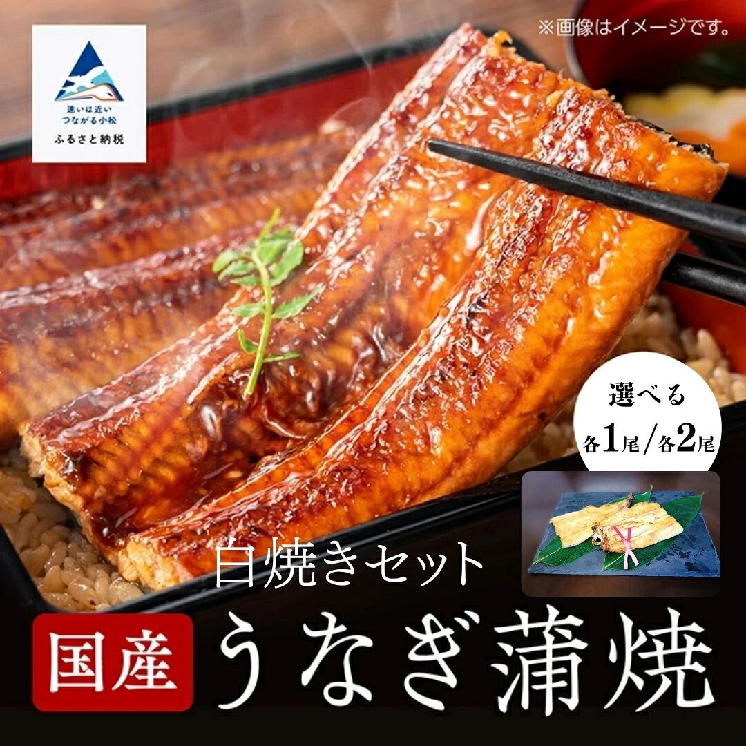 【ふるさと納税】 鰻蒲焼白焼きセット 選べる各 1尾 / 各2尾 かば焼き 白焼き タレつき 関西風 詰め合わせ おかず ごはんのお供 グルメ お取り寄せ ギフト 父の日 母の日 プレゼント 日本産 小松市 石川県 030095 【竹本商店】