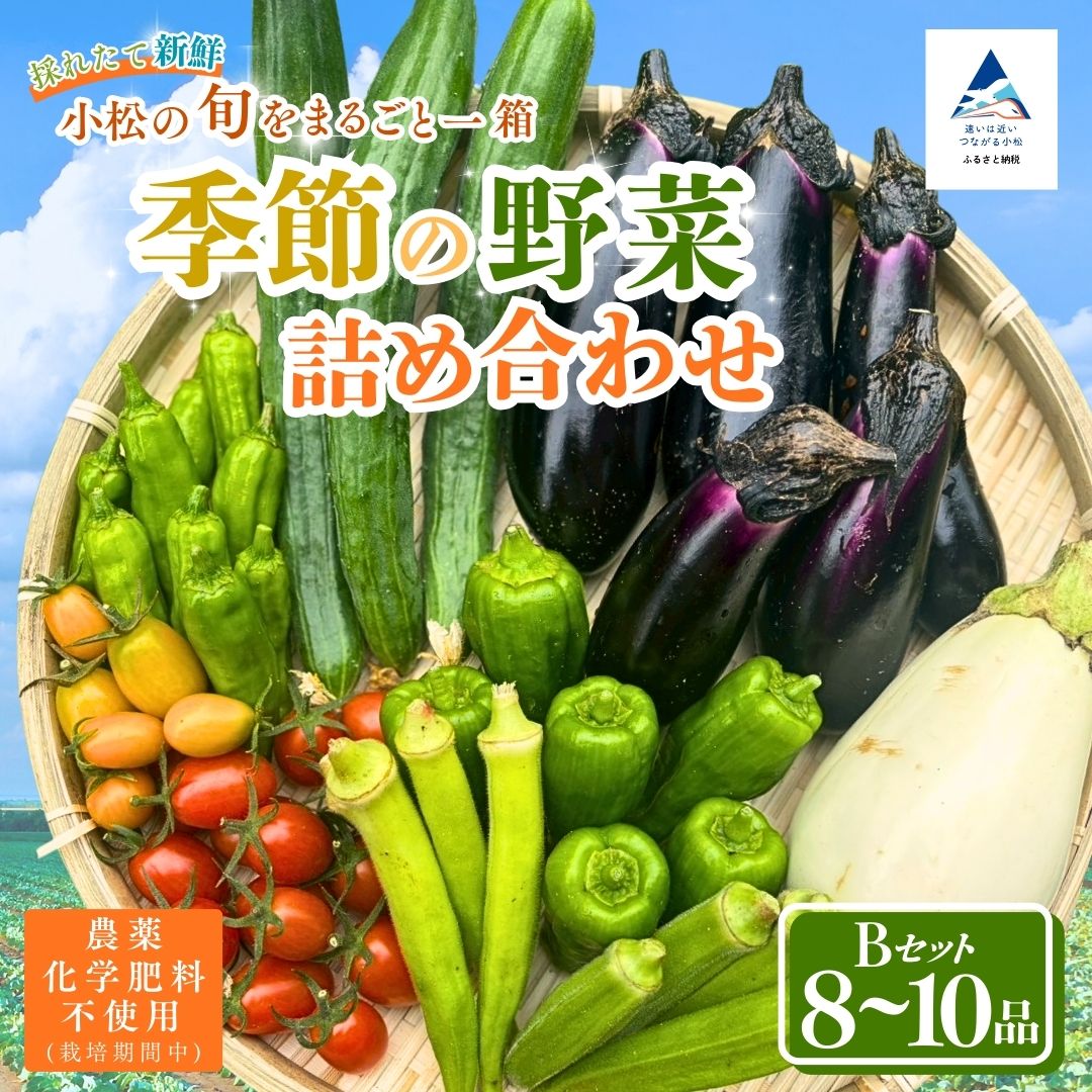 【ふるさと納税】季節の野菜詰め合わせ Bセット 野菜食べ比べ 旬の野菜 野菜セット | 石川県 小松市【Kacchan.Farm】023016