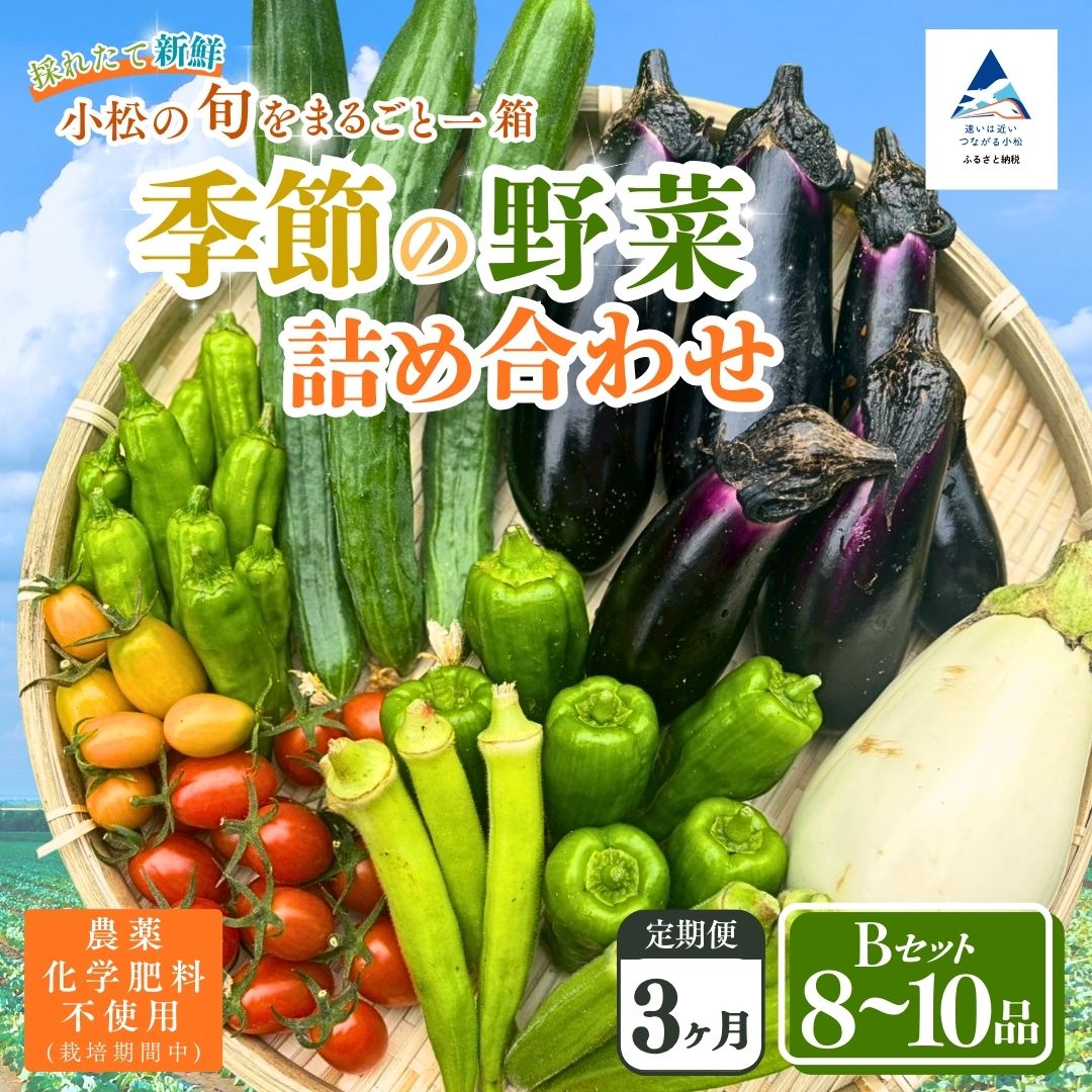 【ふるさと納税】【定期便3ヶ月】季節の野菜詰め合わせ Bセット 野菜食べ比べ 旬の野菜 野菜セット 定期便 | 石川県 小松市【Kacchan.Farm】068003