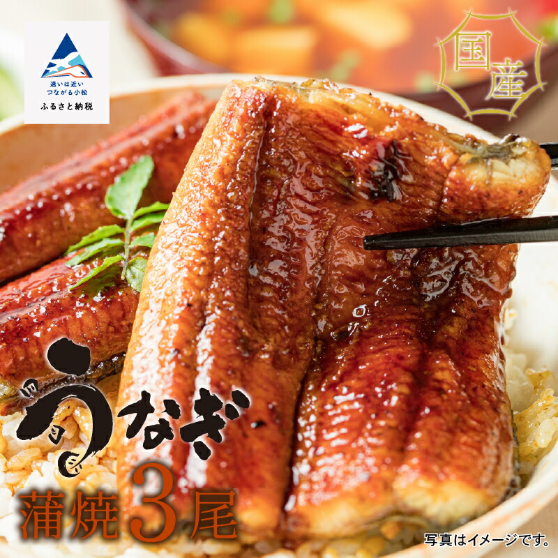 【ふるさと納税】 国産うなぎ蒲焼３尾 うなぎ 国産 蒲焼き 土用 丑の日 おかず ごはんのお供 グルメ お取り寄せ お中元 お歳暮 ギフト 父の日 母の日 プレゼント 小松市 石川県 040035【犬丸屋】
