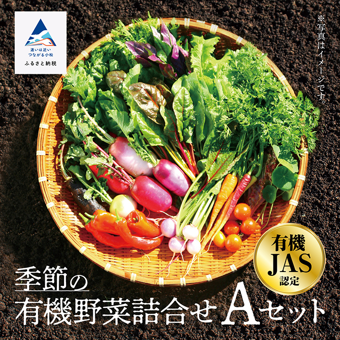 楽天市場】【ふるさと納税】 有機JAS認定 サラダ野菜 《 定期便 3ヶ月