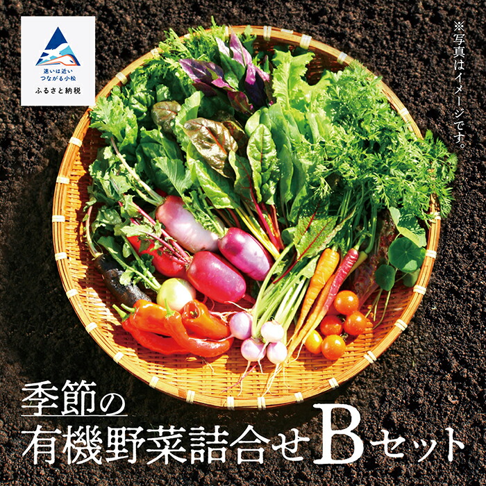 【ふるさと納税】 季節の有機野菜詰合せ Bセット 季節の野菜詰合せ 野菜セット セット 有機野菜 野菜 やさい 詰め合わせ 詰合せ おまかせ 新鮮 直送 お中元 お歳暮 ギフト 小松市 石川県 017002【西田農園】