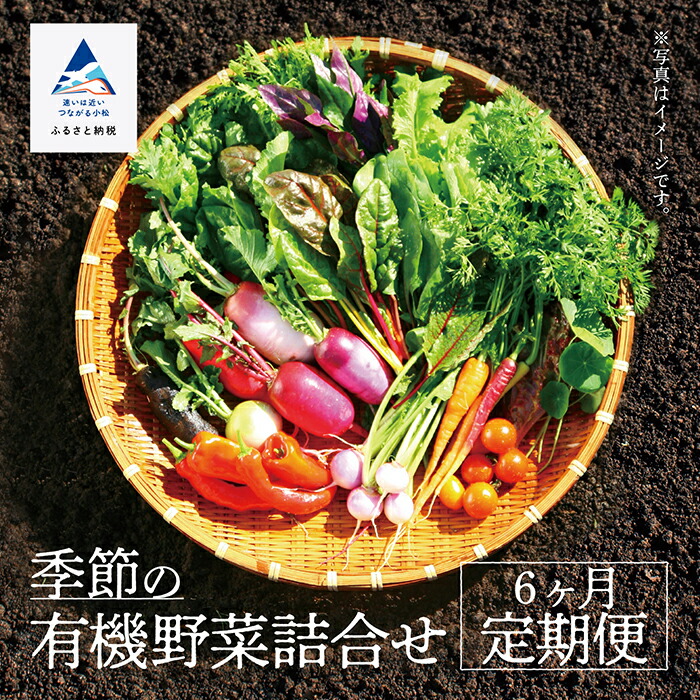 【ふるさと納税】 季節の有機野菜詰合せ 《 定期便 6ヶ月 》 季節の野菜 有機野菜 野菜 野菜セット セット 詰め合わせ おまかせ 定期 6ヵ月 6回 6 お中元 お歳暮 ギフト 小松市 石川県 060011【西田農園】