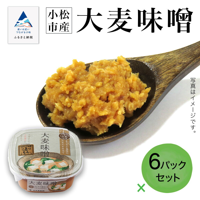 【ふるさと納税】《大麦が香る大麦みそ》 小松市産 大麦味噌６パックセット 味噌 大麦 調味料 料理 グルメ お取り寄せ お中元 お歳暮 ギフト 小松市 石川県 016027【山木食品工業】