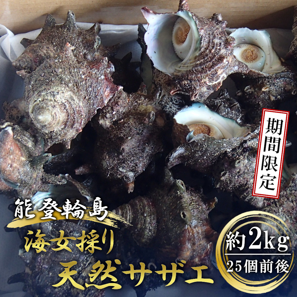 激安直営店 能登輪島 海女採りサザエ 約2kg Fucoa Cl