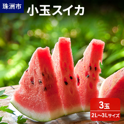【ふるさと納税】【在庫数限定】小玉スイカ（3玉）1玉約1.8kg～2.8kg 果物類 　お届け：2025年7月下旬～8月上旬頃