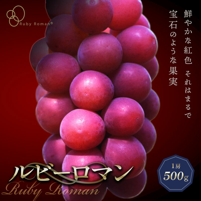 【ふるさと納税】 【先行予約】 ルビーロマン 1房 500g （2026年8月中旬～9月上旬頃順次発送） ぶどう ブドウ 大粒 先行予約 予約 冷蔵配送 くだもの 果物 フルーツ ご当地 食品 F6P-2104 26,000円
