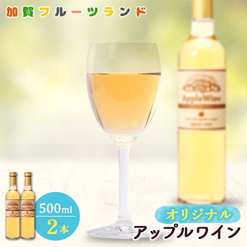 【ふるさと納税】オリジナルアップルワイン 500ml×2本 F6P-1817