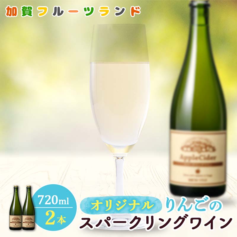 【ふるさと納税】オリジナルりんごのスパークリングワイン 750ml×2本 F6P-1819