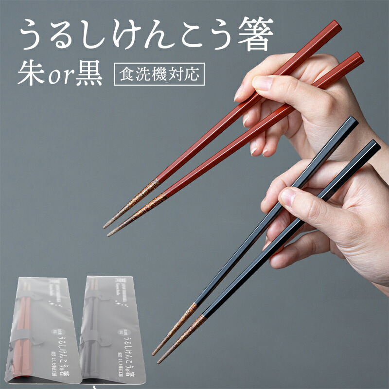 【ふるさと納税】華正工房 うるしけんこう箸 食洗機対応 朱 黒 (簡易包装) F6P-2842var