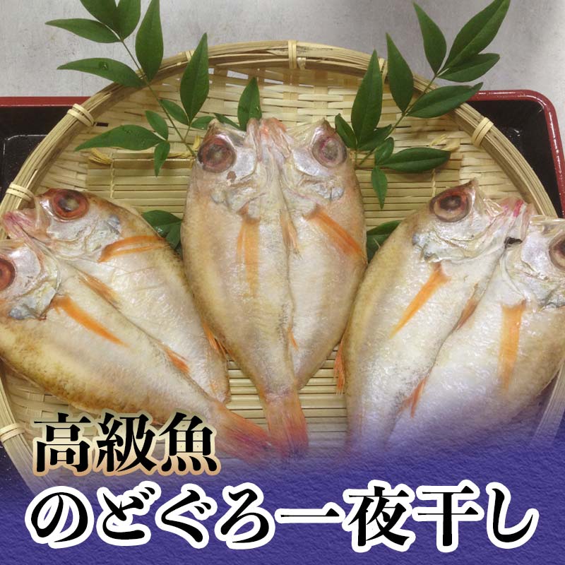 【ふるさと納税】高級魚のどぐろ一夜干し 約120g～150g ×3 一夜干し あかむつ類 のどぐろ ノドグロ 魚  グルメ 海産物 海の幸 干物 おつまみ 肴 食品   能登半島地震復興支援  F6P-2384