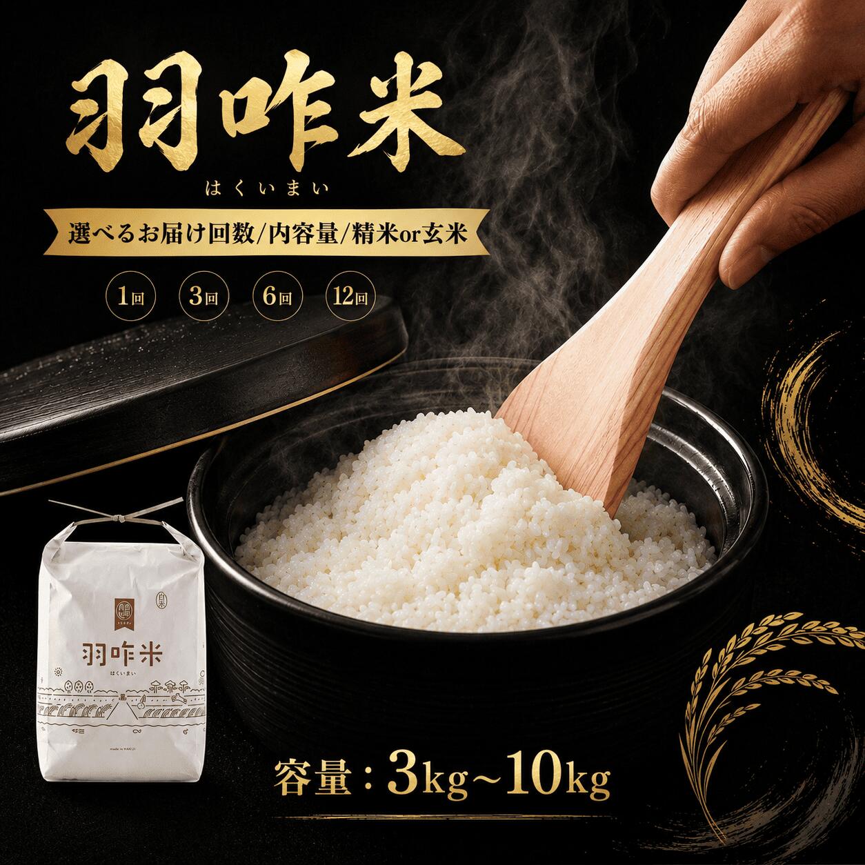 【ふるさと納税】 米 令和7年産 コシヒカリ お米 10kg 5kg 3kg / 自然栽培米 石川県産 羽咋米 白米 玄米 単品 定期便 選べる 12ヶ月 6ヶ月 3ヶ月 能登 こだわり 精米具合 選べる 数量 限定 環境 R7 こめ | ふるさと納税米 米 5kg お米 10kg 能登 石川 復興支援 災害 支援|石川県羽咋市